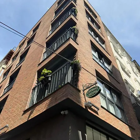 Hotel Taksim Artelist 3*